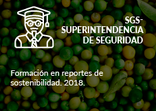 SGS – Superintendencia de Seguridad