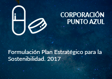 Corporación Punto Azul. Formulación Plan Estratégico para la Sostenibilidad. 2017