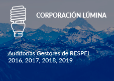 CORPORACIÓN LÚMINA – Auditorías Gestores de RESPEL. 2016, 2017, 2018, 2019