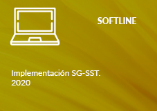 Softline Internacional de Colombia SAS. Implementación SG-SST. 2020