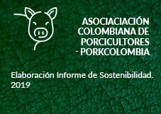 Asociaciación Colombiana de Porcicultores – Porkcolombia. Elaboración Informe de Sostenibilidad.